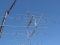 Ant_D71_3124