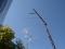 Ant_D71_3168