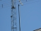Ant_D71_3184