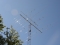 Ant_D71_3188