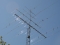 Ant_D71_3197