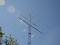 Ant_D71_3198