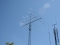 Ant_D71_3209