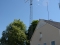 Ant_D71_3212