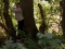 20140906_8517_Bentbit.jpg