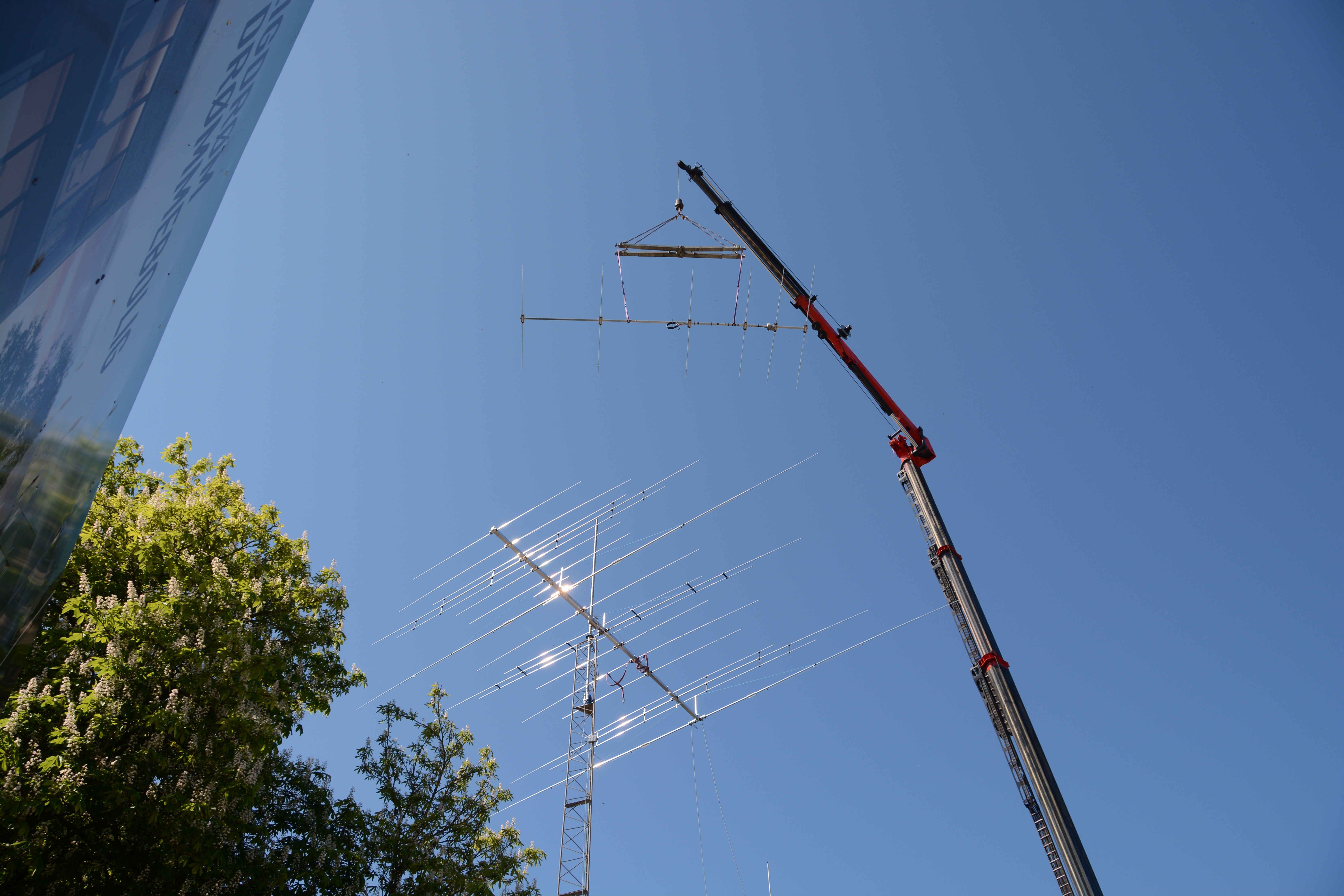 Ant_D71_3168